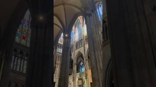 Before live organ performance at the Cologne Cathedral köln germany travel europe kölnerdom [upl. by Grunenwald]