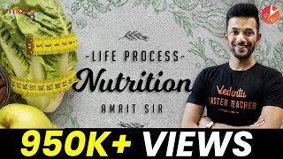 Nutrition Class 10  Life Processes Class 10 Science Biology  Mode of Nutrition NCERT Science Ch 6 [upl. by Maximilian]