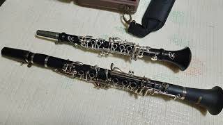 Ripa AFlat Piccolo Clarinet Test2 [upl. by Elinnet]