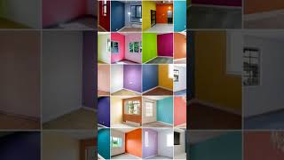 Wall paints designs all colours shortvideos vlogs [upl. by Ube]