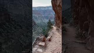 North Kaibab  Grand Canyon [upl. by Moyna]