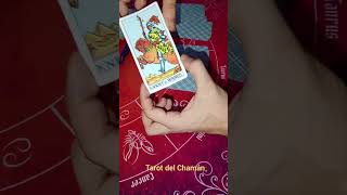 🃏Tarot energías fin de noviembre economía gemini quotLa inspiración te muestra el camino🔮 [upl. by Odnalor]