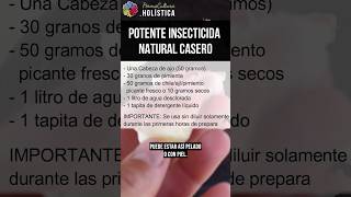 💥 POTENTE INSECTICIDA ECOLÓGICO CASERO 🌱 para CURAR tus PLANTAS  Versión uso instantáneo [upl. by Wyon]