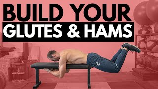 Strengthen your Posterior Chain Glutes amp Hams  Reverse Hypers amp Alternatives [upl. by Norvell]