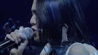 Cocco  強く儚い者たちLive）Short ver [upl. by Devol]