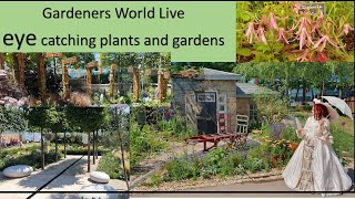 Gardeners World Live 2023 eye catching plants and gardens [upl. by Bettencourt]