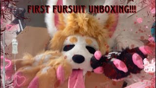 FIRST FURSUIT UNBOXING [upl. by Adnovoj]