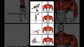 Dumbbell Upper Body Workofitnessgymexerciseworkoutworkoutvideosbodybuildingfitnessmotivation [upl. by Urquhart]