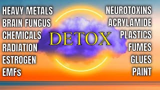 BRAIN DETOX 🟣 Binaural Beats RIFE Frequencies Isochronic Tones Delta Waves I The Sound Healers [upl. by Rosanne]