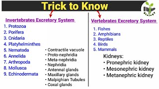 Trick to know Invertebrates and Vertebrates Excretory System  Very Important for Zoology Students [upl. by Akimad]