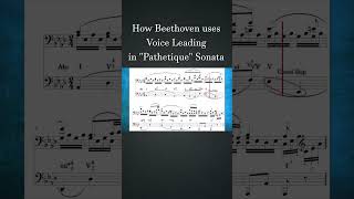 How Beethoven uses Voice Leading in quotPathetiquequot Sonata  How Composers Use Series musictheory [upl. by Hebbe215]