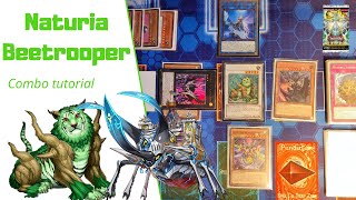 YuGiOh Naturia Beetrooper COMBO TUTORIAL Indepth November 2023 format Infinite spell negates [upl. by Maretz97]