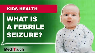 What are Febrile Seizures [upl. by Julius]