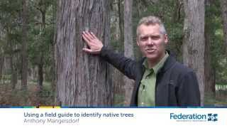 Using a field guide to identify native trees [upl. by Amelita]