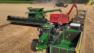 Großeinsatz Weizenernte 2022  4 Mähdrescher Fendt Claas JD Traktoren Landwirtschaft Wheat Harvest [upl. by Toffic]