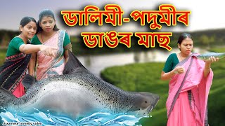 ডালিমীপদুমীৰ ডাঙৰ মাছ  Assamese comedy video  Assamese funny video [upl. by Lorrin82]