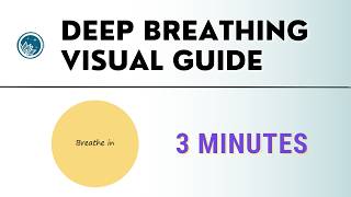 Deep Breathing Exercise  3 minutes  Visual Guide [upl. by Ursi]