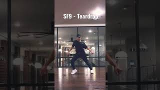 Sf9  Teardrop cover by Deka sf9 teardrop kpop dance [upl. by Lubow802]