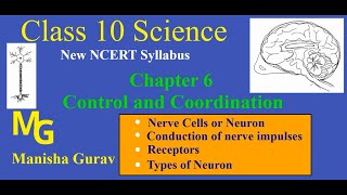 Class 10  Science  Chapter 6 Control and Coordination  Neuron  Types of Neuron  New NCERT [upl. by Irianat]