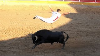 CONCURSO DE RECORTADORES CON NOVILLOS Y EXHIBICION DE SALTOS DE VACAS FITERO 15092018 [upl. by Barret358]