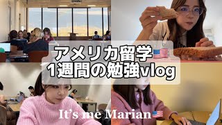 【勉強vlog】🇺🇸アメリカ留学生のリアル！1週間の勉強ルーティン📚 [upl. by Ashatan124]