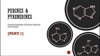 PURINES AND PYRIMIDINES  PART1 [upl. by Schroth443]