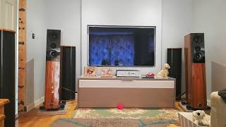 Leema Acoustics Tucana 2 Anniversary [upl. by Sofie]