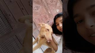 Home makeover update part 16 thakorfamily vlog lifeofthakor familyvlogs vlogs shorts [upl. by Erroll]