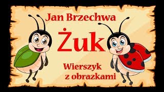 🐞🐞🐞Żuk  Jan Brzechwa  wierszyk bajka animacja dla dzieci [upl. by Nnahtur169]