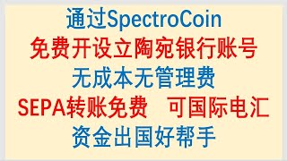 立陶宛银行开户通过SpectroCoin免费开设立陶宛银行账号，无成本无管理费，SEPA转账费全免，也可国际电汇，走资方法又多了一个。 [upl. by Iphagenia]