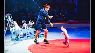 ERMAKOV  ACADÉMIE DES CHIENS Cirque dHiver Bouglione Paris 2024 [upl. by Annia]