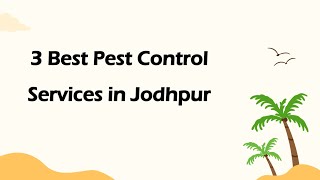 3 Best Pest control services in Jodhpur Rajasthan 2024  Pest management services [upl. by Eelac79]