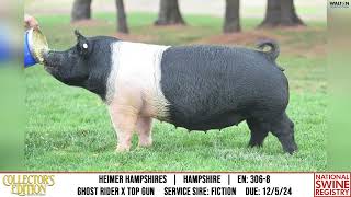 Heimer Hampshires  Hampshire  3068  NSR Collectors Edition  Nov 20 2024 [upl. by Emrich945]