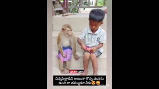 Chinnapillavadi ayena manchi manasu undhi ♥️👌🥰goodheartedman love like share subscribe [upl. by Osbourne]