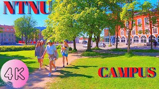 【4K】Taking Walk At NTNU Norwegian University of Science and Technology ParkCampus Virtual Tour [upl. by Alison581]