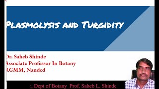 Plasmolysis and Turgidity [upl. by Nuawtna]