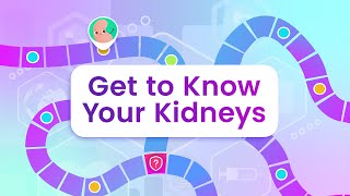 Get to Know Your Kidneys [upl. by Airitac]