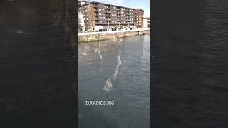 Puente Colgante Portugalete bilbao portugalete paisvasco recuerdosinolvidables elsalvador503 [upl. by Ehrman]