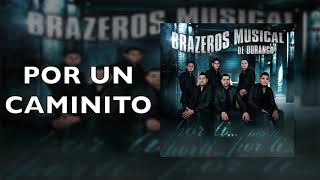 Brazeros Musical De Durango  Por Un Caminito  Por Ti [upl. by Htrowslle]