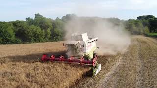 Canola Harvest with 2x Claas Lexion 480 [upl. by Sug31]