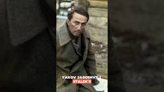 Yakov Dzhugashvili Stalin’s Son Who Died in a Nazi Concentration Camp history shorts ww2 [upl. by Aimee]