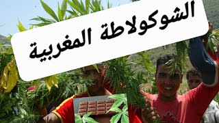 طريقة استخراج الشوكولاتة المغربية ketama hache maroc [upl. by Thurmann472]