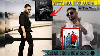 Sippy gill New Album Circus In This Week amp Gulab Sidhu New Single Track With Gurlej Akhtar [upl. by Lhamaj]