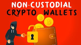 Noncustodial Wallet Why Do You Need It Right NOW Animated [upl. by Pernell661]