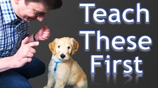 3 Easy Things to Teach your NEW PUPPY [upl. by Sass]