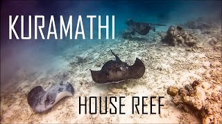 Kuramathi House Reef  so much life in one afternoon [upl. by Aina65]