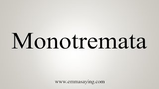 How To Say Monotremata [upl. by Eddi]