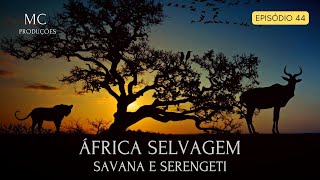 ÁFRICA SELVAGEM  Savana e Serengeti [upl. by Tedd]