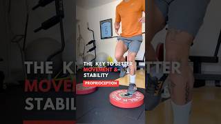 Proprioception The Key to Better Movement and Stability [upl. by Allerus]