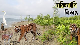 মরিচঝাঁপি জঙ্গলের সম্পূর্ণ তথ্য  marichjhapi documentary  marichjhapi massacre  sundarban jungle [upl. by Antonius986]